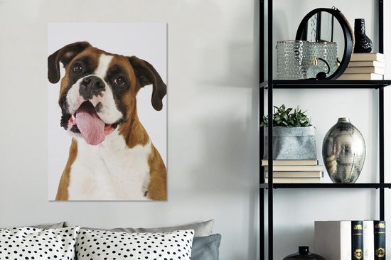 Boxer avec langue sur toile 60x90 cm - Tirage photo sur toile (Décoration murale salon / chambre) / Peintures sur toile pour Animaux domestiques