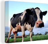 Une curieuse vache frisonne Toile 160x120 cm - Tirage photo sur Toile (Décoration murale salon / chambre) / Animaux de la ferme Peintures sur toile XXL / Grand format!