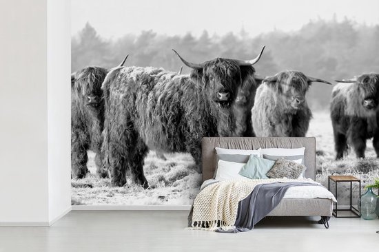 Papier peint - Papier peint photo peint Highlanders écossais un matin d'hiver - noir et blanc - Largeur 360 cm x hauteur 240 cm