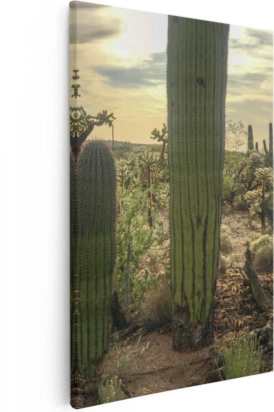 Artaza Canvas Schilderij Cactus Planten in het Wild - 20x30 - Klein - Foto Op Canvas - Canvas Print