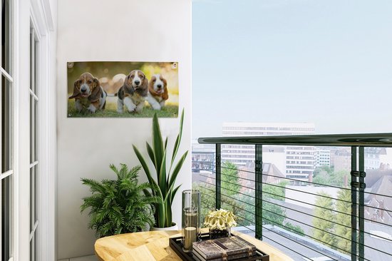 Poster de jardin Les chiots courent dans l'herbe - 60x30 cm - Toile de jardin - Poster extérieur