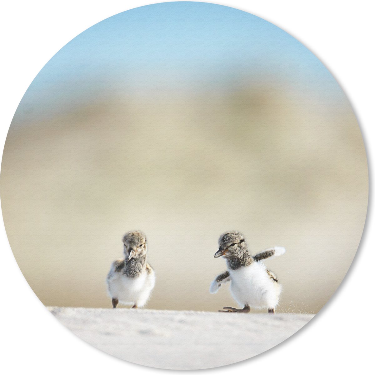 Muismat rond 20x20 cm - Mousepad Jongen - Zand - Vogels - Ronde muismatten