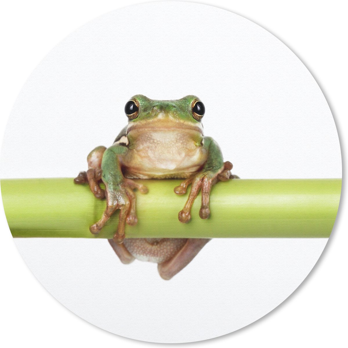 Muismat rond 30x30 cm - Mousepad Kikker - Bamboe - Wit - Ronde muismatten