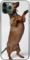 Geschikt voor iPhone 11 Pro Max hoesje - Een Teckel die op haar achterste twee poten staat - Siliconen Telefoonhoesje