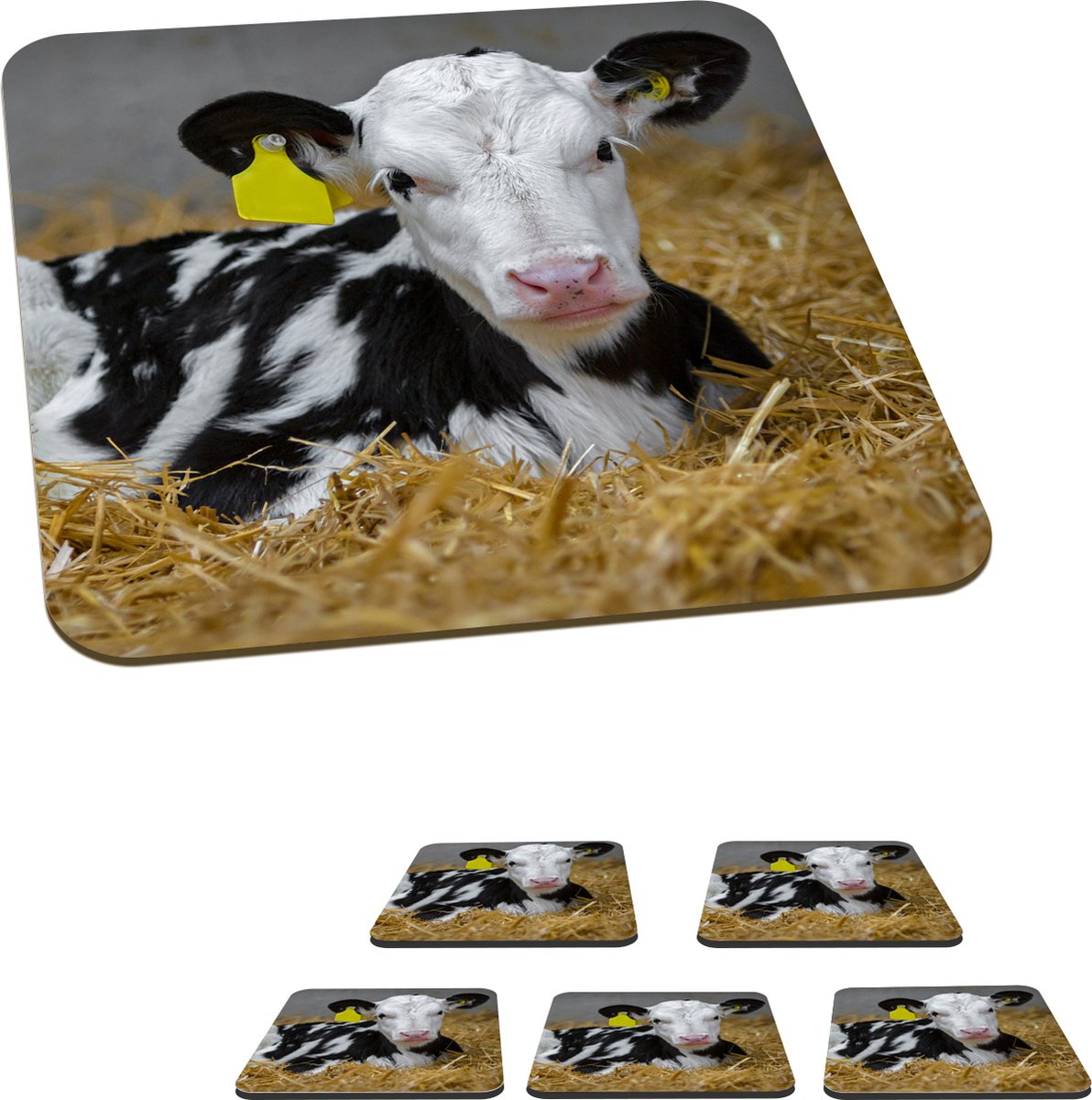 Onderzetters voor glazen - Koe - Stro - Kalf - Dier - 10x10 cm - Glasonderzetters - 6 stuks