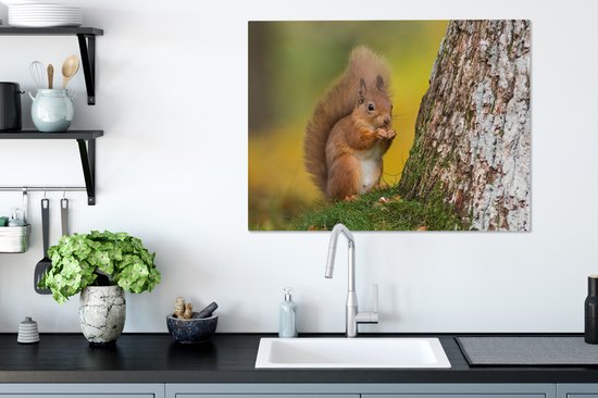 Tableau sur toile Écureuil roux à côté de l'arbre - 80x60 cm - Décoration murale