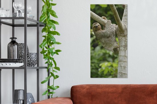 Peinture sur toile Un paresseux s'accroche à une branche - 40x80 cm - Décoration murale Art