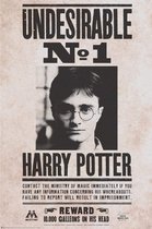 HARRY POTTER - Indesirable N°1 - Poster 91x61cm