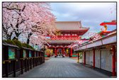 Zicht op de oude Sensoji-ji Tempel van Asakusa in Tokio - Foto op Akoestisch paneel - 90 x 60 cm