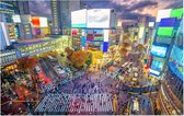 Beroemde Shibuya Crossing bij neon verlichting in Tokio  - Foto op Forex - 45 x 30 cm