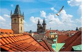 Klokkentoren en Tynsky kathedraal in zomers Praag - Foto op Forex - 45 x 30 cm