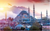 Stadsgezicht van Istanbul met de Süleymaniye Moskee - Foto op Forex - 90 x 60 cm