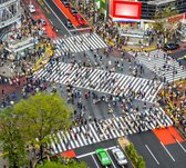 Indrukwekkend uitzicht op Shibuya Crossing in Tokio - Fotobehang (in banen) - 350 x 260 cm