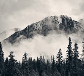 Misty Mountain Forest - Fotobehang (in banen) - 250 x 260 cm