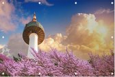 De Namsan Seoul Tower achter kersenbloesem in Zuid Korea - Foto op Tuinposter - 60 x 40 cm