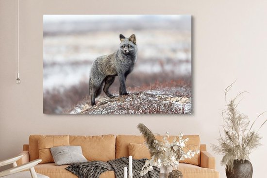 Renard gris dans un paysage enneigé 180x120 cm - Tirage photo sur toile (Décoration murale salon / chambre) / Animaux sauvages Peintures sur toile XXL / Groot format!