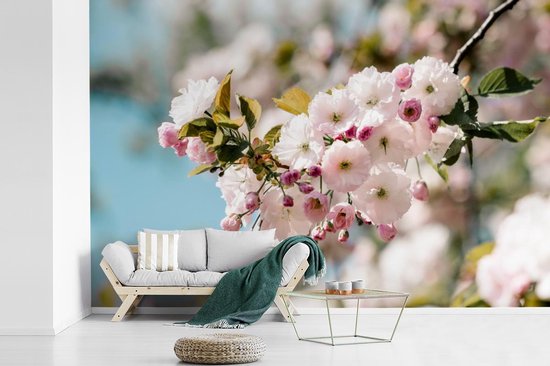 Papier peint - Papiers Papier peint photo Fleurs - Fleur - Printemps - Largeur 450 cm x Hauteur 300 cm