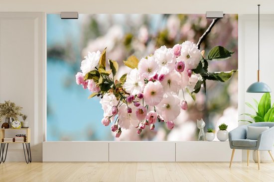 Papier peint - Papiers Papier peint photo - Fleur au printemps - Largeur 420 cm x Hauteur 280 cm