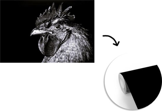 Papier peint - Papier peint Papier peint photo Coq - Vogel - Zwart - Wit - Largeur 600 cm x hauteur 400 cm