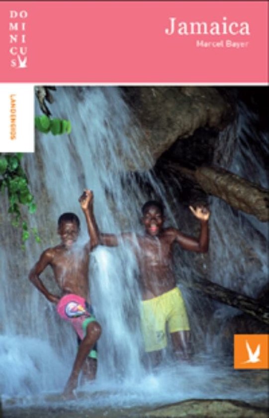 Cover van het boek 'Dominicus Jamaica'