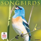 Songbirds Kalender 2022