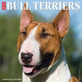 Bull Terrier Kalender 2022