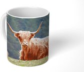 Mok - Schotse hooglanders - Zon - Gras - 350 ML - Beker