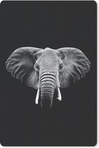 Muismat - Mousepad - Olifant op een zwarte achtergrond - zwart wit - 18x27 cm - Muismatten