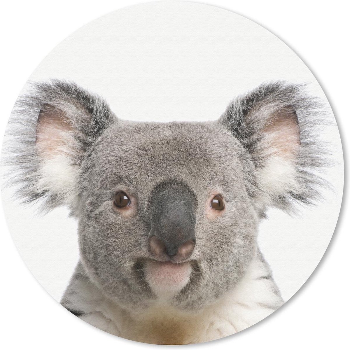 Muismat rond 40x40 cm - Mousepad Dieren - Koala - Wit - Ronde muismatten