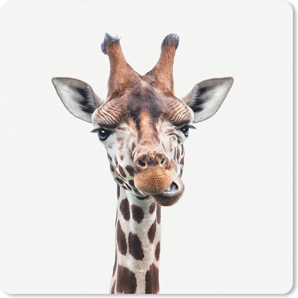 Muismat 30x30 cm - Mousepad Dieren - Portret - Giraf - Muismatten