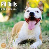 American Pit Bull Terrier Kalender 2022