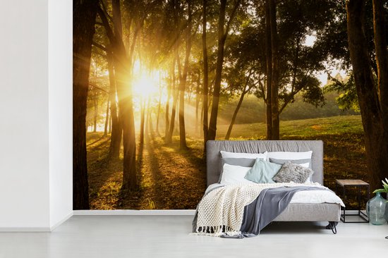 Papier peint photo vinyle - Le soleil d'automne se lève dans une forêt sombre largeur 330 cm x hauteur 220 cm - Tirage photo sur papier peint (disponible en 7 tailles)