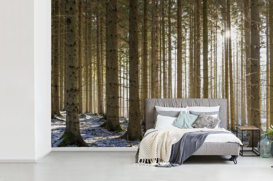 Papier fotobehang Une forêt avec des troncs d'arbres dans un paysage d'hiver