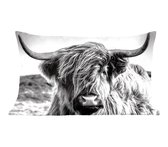 Sierkussens - Kussentjes Woonkamer - 50x30 cm - Koe - Schotse hooglander - Zwart - Wit - Dier - Natuur - Wild