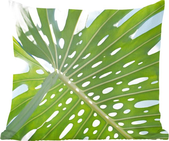 Sierkussen Botanisch voor binnen - Een groen botanisch blad in de zon - 50x50 cm - vierkant binnenkussen van katoen