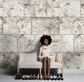 Komar Behang Björk fotobehang
