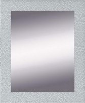 Zilveren Spiegel Modern 63x83 cm – Mathilda – Spiegel Zilveren Lijst – Design Wandspiegel Hal – Spiegels – Perfecthomeshop