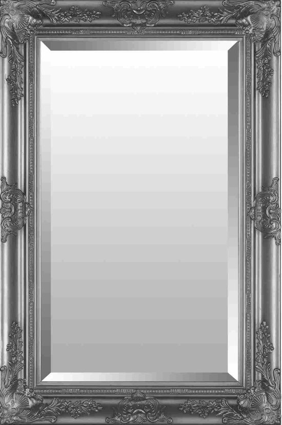 Spiegel Barok Zilver 60x90 cm – Pablo – Duurzame spiegel zilveren lijst –  Chique... | bol.com