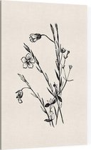 Geelhartje zwart-wit (Linum Cartharticum) - Foto op Canvas - 40 x 60 cm
