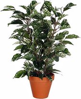 Kunstplant Ficus Natasja Groen-bont - H 40cm - Keramiek sierpot - Mica Decorations