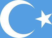 Vlag Oeigoeren 150x225cm