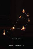 Hugh MacLennan Poetry Series 36 - Small Fires