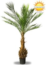 Palme artificielle UV Phoenix 170