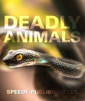 Deadliest Animals on the Planet - Deadly Animals in the Wild