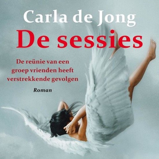 De sessies - cover