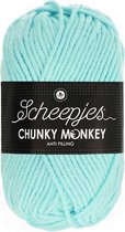 Scheepjes Chunky Monkey 100g - 1034 Baby Blue - Blauw