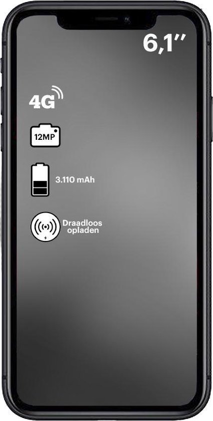 Apple iPhone 11 - 4G smartphone - double SIM / Mémoire interne 128