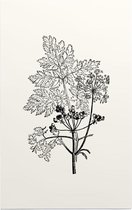 Gevlekte Scheerling zwart-wit (Hemlock) - Foto op Forex - 60 x 90 cm
