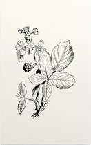 Braam Zwart-Wit (Blackberry) - Foto op Forex - 60 x 90 cm