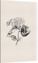 Kornoelje zwart-wit plus (Dogwood) - Foto op Canvas - 30 x 45 cm